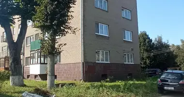 Apartamento 2 habitaciones en Slonim, Bielorrusia