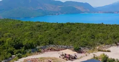 Дом 4 спальни в Lustica, Черногория