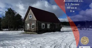 Maison dans Zodzinski siel ski Saviet, Biélorussie