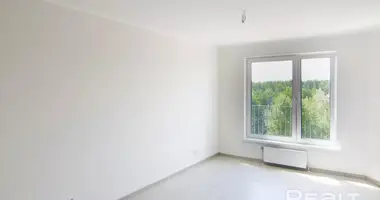 1 room apartment in Kopisca, Belarus