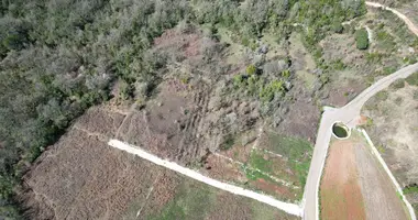 Terrain dans Monténégro