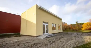 Gewerbefläche 69 m² in Alitten, Litauen