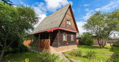 House in Zabalocki sielski Saviet, Belarus