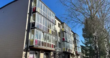 Wohnung 3 zimmer in Birsen, Litauen