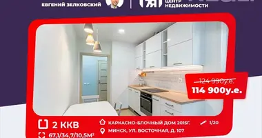 2 room apartment in Minsk, Belarus