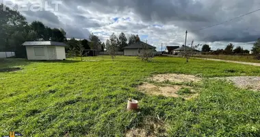 Plot of land in Dabryniouski sielski Saviet, Belarus