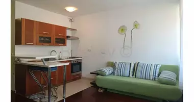 Wohnung 1 Zimmer in Zagreb, Kroatien