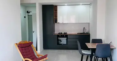 1 Bedroom Apartment for Rent in Tbilisi in Tiflis, Georgien