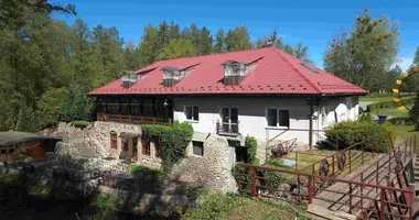 Дом в Друскининкай, Литва