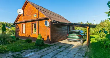 House in Naracki sielski Saviet, Belarus