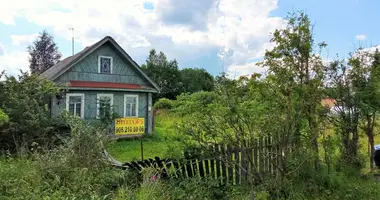 Dom 2 pokoi w Lyubanskoe gorodskoe poselenie, Rosja