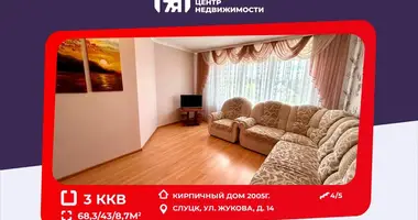 Apartamento 3 habitaciones en Slutsk, Bielorrusia