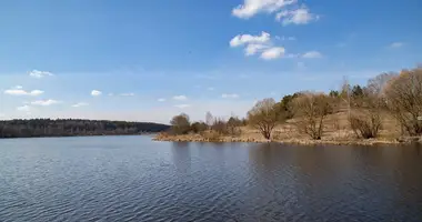 Casa en Haradziscanski siel ski Saviet, Bielorrusia