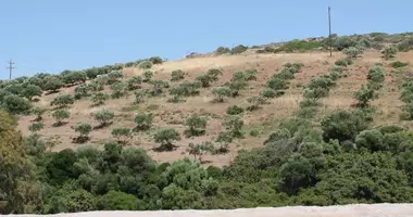 Plot of land in Palaikastron, Greece