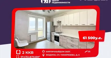 Wohnung 2 Zimmer in Schodsina, Weißrussland