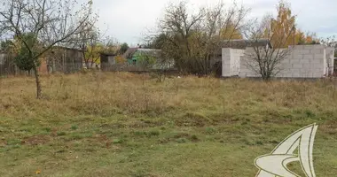 Plot of land in cerninski sielski Saviet, Belarus