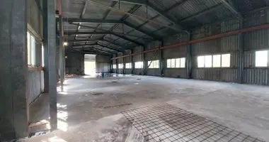 Nieruchomości komercyjne 1 000 m² w Brankas, Łotwa