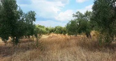 Grundstück in Ormos Panagias, Griechenland