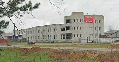 Producción 15 m² en Budahova, Bielorrusia