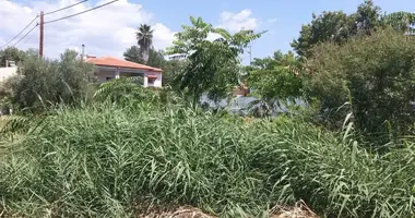 Terrain dans Polygyros, Grèce