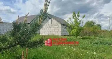 House in Sapotskin, Belarus