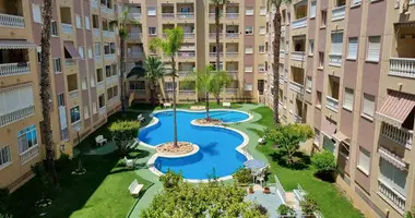 Wohnung 2 Zimmer in Torrevieja, Spanien