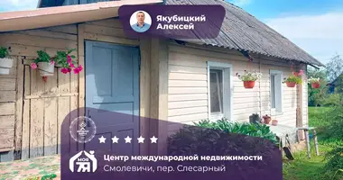 House in Smalyavichy, Belarus