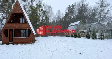 House in Putryskauski sielski Saviet, Belarus