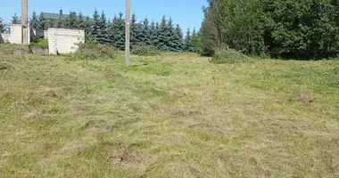Plot of land in Ziezmariai, Lithuania
