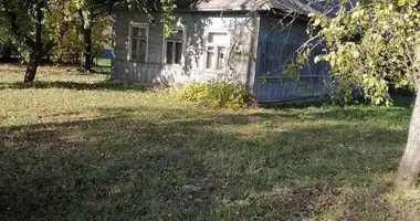 House in Dory, Belarus