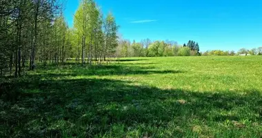 Plot of land in Eidukai, Lithuania