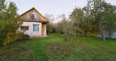 House in Zdanovicki sielski Saviet, Belarus