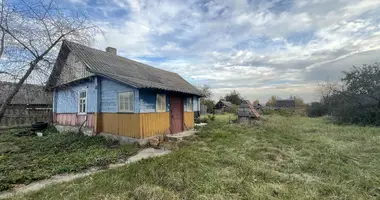 House in Perezhir, Belarus