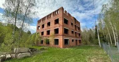 Plot of land in Patryskauski selski Savet, Belarus