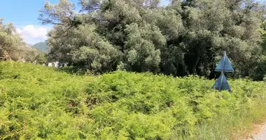 Terrain dans Sfakera, Grèce