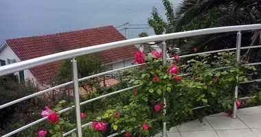 4 bedroom house in Krasici, Montenegro