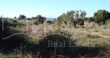 Участок земли в Полийирос, Греция
