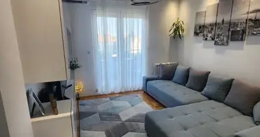 1 bedroom apartment in Belgrade, Serbia