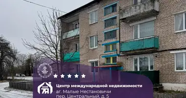 2 room apartment in Malye Nestanovichi, Belarus