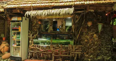 Restaurant 1 room with mountain view in Zeda Tkhilnari, Georgia