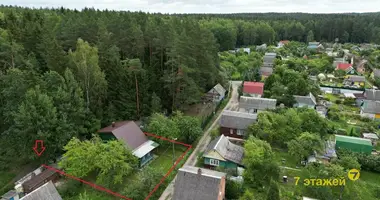 House in Zdanovicki sielski Saviet, Belarus