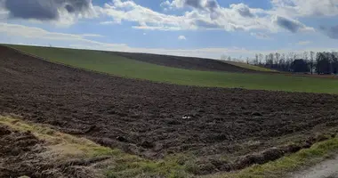 Grundstück in Krakau, Polen