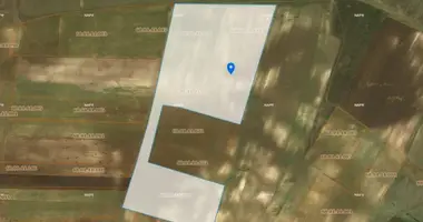 Plot of land in Kareli, Georgia