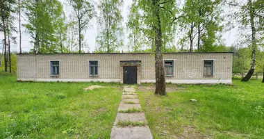 Office 351 m² in Baraulianski sielski Saviet, Belarus