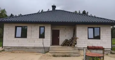 Haus in Dzitva, Belarus