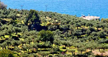 Terrain dans megale mantineia, Grèce