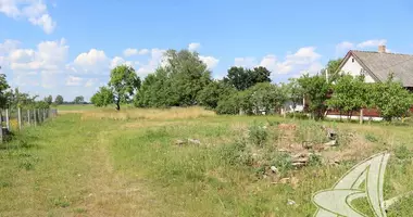 Plot of land in Rakitnicki sielski Saviet, Belarus