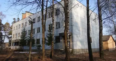 Sklep 2 450 m² w Pleszczenice, Białoruś