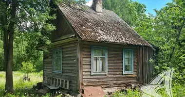 House in Lieninski sielski Saviet, Belarus