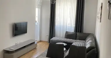 Apartamento 1 habitacion en Montenegro
